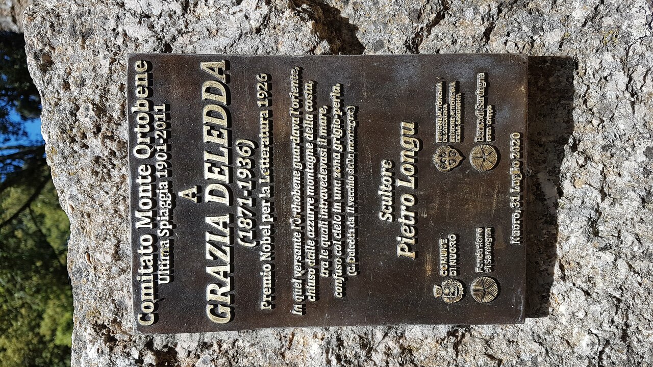 2021 06 01 10 si riprende col falcone