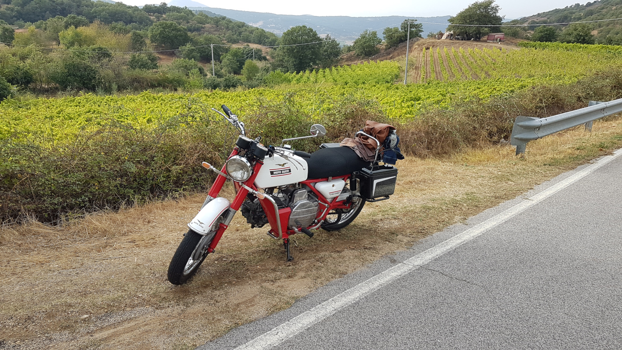 Le vigne di Mamoiada
